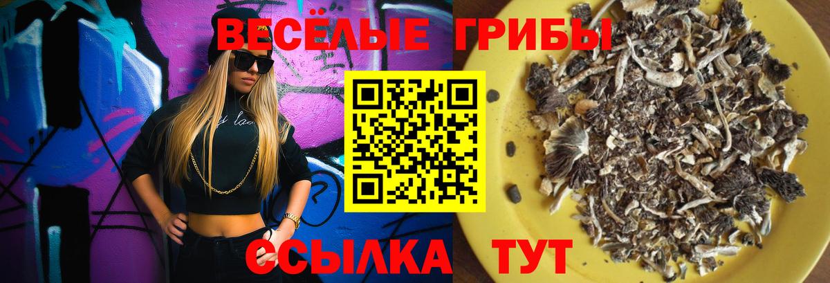 Ржев  Псилоцибиновые грибы Psilocybine cubensis  Галлюциногенные грибы мухоморы  Вход с VPN 
